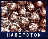 Что под микроскопом - ответы на все уровни игры