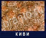 Что под микроскопом - ответы на все уровни игры