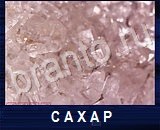 Что под микроскопом - ответы на все уровни игры
