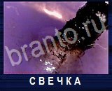 Что под микроскопом - ответы на все уровни игры