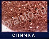 Что под микроскопом - ответы на все уровни игры