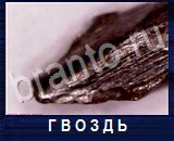 Что под микроскопом - ответы на все уровни игры