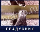 Что под микроскопом - ответы на все уровни игры