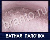 Что под микроскопом - ответы на все уровни игры