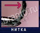 Что под микроскопом - ответы на все уровни игры