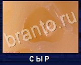 Что под микроскопом - ответы на все уровни игры
