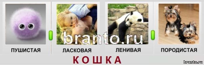 Мозговой штурм - ответы