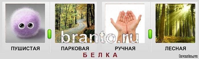 Мозговой штурм - ответы