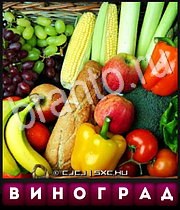 Найди слово - ответы на все уровни игры