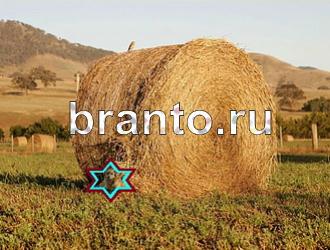 Игра "Найди животное" - ответы