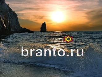 Игра "Найди животное" - ответы