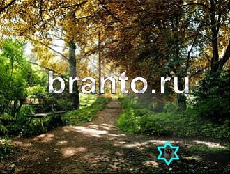 Игра "Найди животное" - ответы