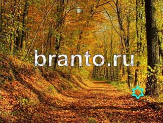 Игра "Найди животное" - ответы