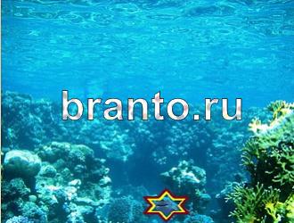 Игра "Найди животное" - ответы