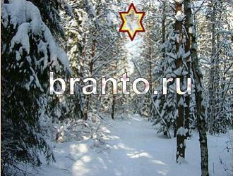 Игра "Найди животное" - ответы