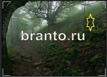 Найди призрака - ответы на игру