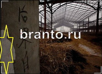 Найди призрака - ответы на игру