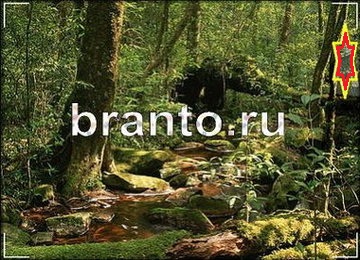 Найди призрака - ответы на игру