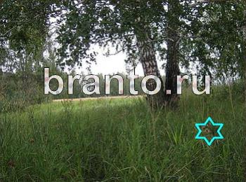 Найди собаку - ответы на игру ВКонтакте, в Одноклассниках