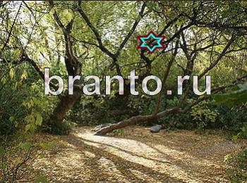 Найди собаку - ответы на игру ВКонтакте, в Одноклассниках