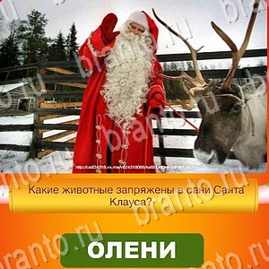 Новый Год - ответы к игре в Одноклассниках: задания 1-30