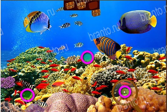 Сокровища морей: ответы на игру в Одноклассниках