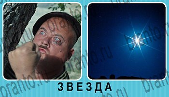 Омонимы - ответы на все уровни игры