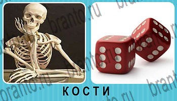 Омонимы - ответы на все уровни игры