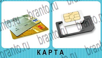 Омонимы - ответы на все уровни игры