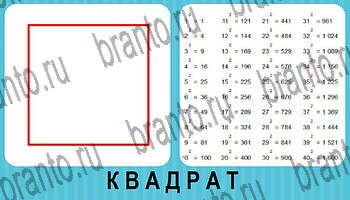 Омонимы - ответы на все уровни игры