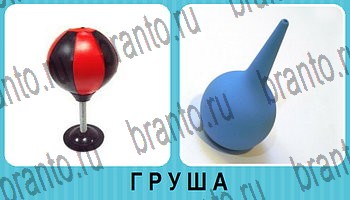 Омонимы - ответы на все уровни игры