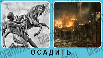 Омонимы - ответы на все уровни игры
