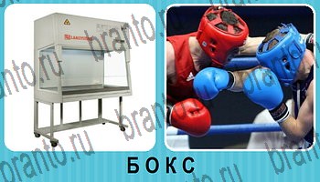 Омонимы - ответы на все уровни игры