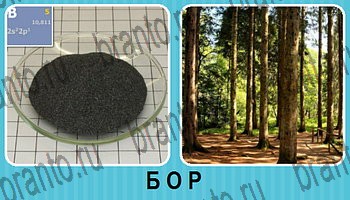 Омонимы - ответы на все уровни игры