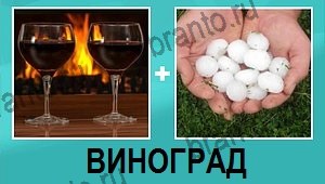 "2 фото 1 слово на русском" - ответы на все уровни игры