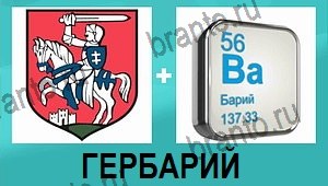 "2 фото 1 слово на русском" - ответы на все уровни игры