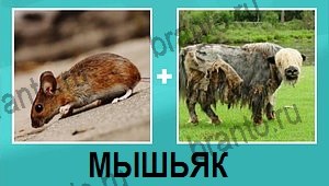 "2 фото 1 слово на русском" - ответы на все уровни игры