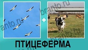 "2 фото 1 слово на русском" - ответы на все уровни игры