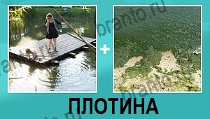"2 фото 1 слово на русском" - ответы на все уровни игры