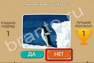 Проверь себя игра ответы в Одноклассниках