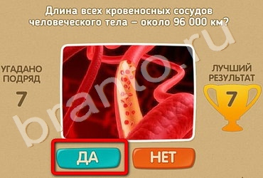 Проверь себя игра ответы в Одноклассниках