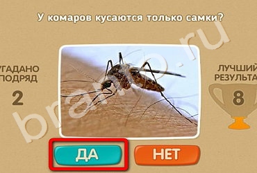 Проверь себя игра ответы в Одноклассниках