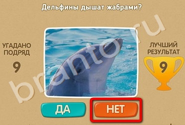 Проверь себя игра ответы в Одноклассниках