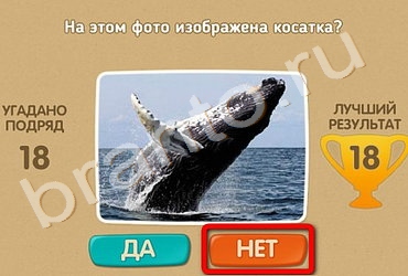 Проверь себя игра ответы в Одноклассниках