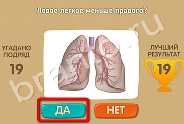 Проверь себя игра ответы в Одноклассниках