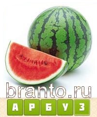 Угадай-ка: Прятки слов - ответы на игру