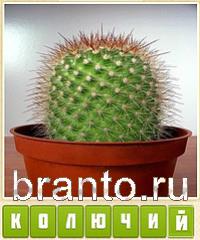Угадай-ка: Прятки слов - ответы на игру
