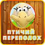 Игра Птичий переполох или Найди птичек - ответы
