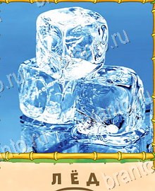 "Птица-Говорун" - ответы на все уровни игры в Одноклассниках