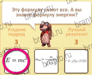 Пушистые вопросы - ответы к игре в Одноклассниках: СЕЗОН 1
